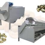 raw cashew nut grading machine