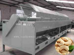 Cashew nut classifier