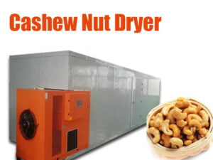 Machine de séchage de noix de cajou