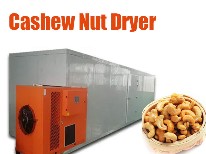 Why Should You Use Cashew Dyrer?