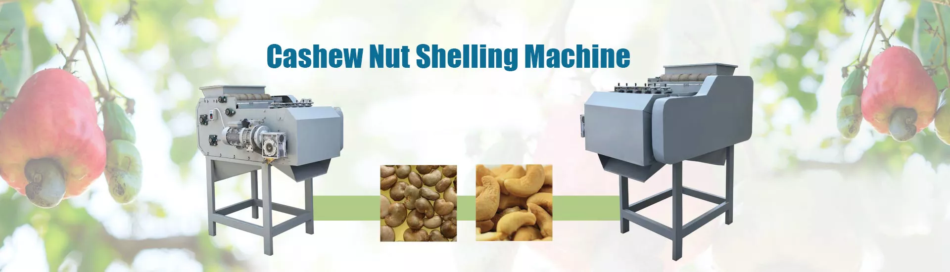 cashew nut shelling machine