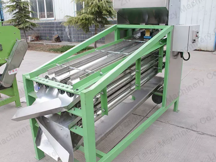 What Is the Price of Cashew Nut Sorting Machine?